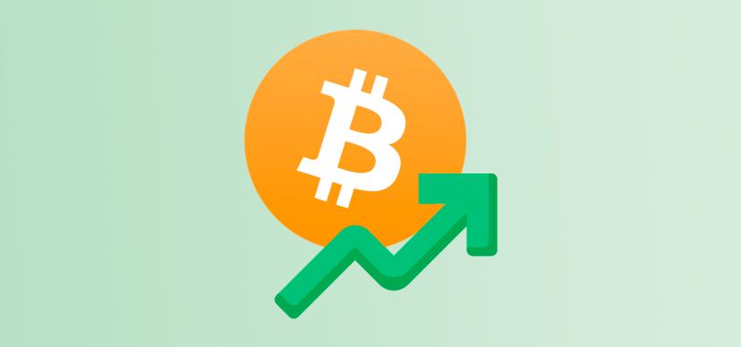Bitcoin rose in price by 15% overnight