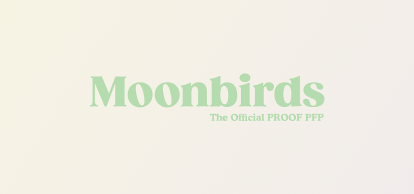 The creators of the Moonbirds collection have raised $10 million from a Reddit co-founder